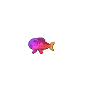 Rainbow Wishiwashi